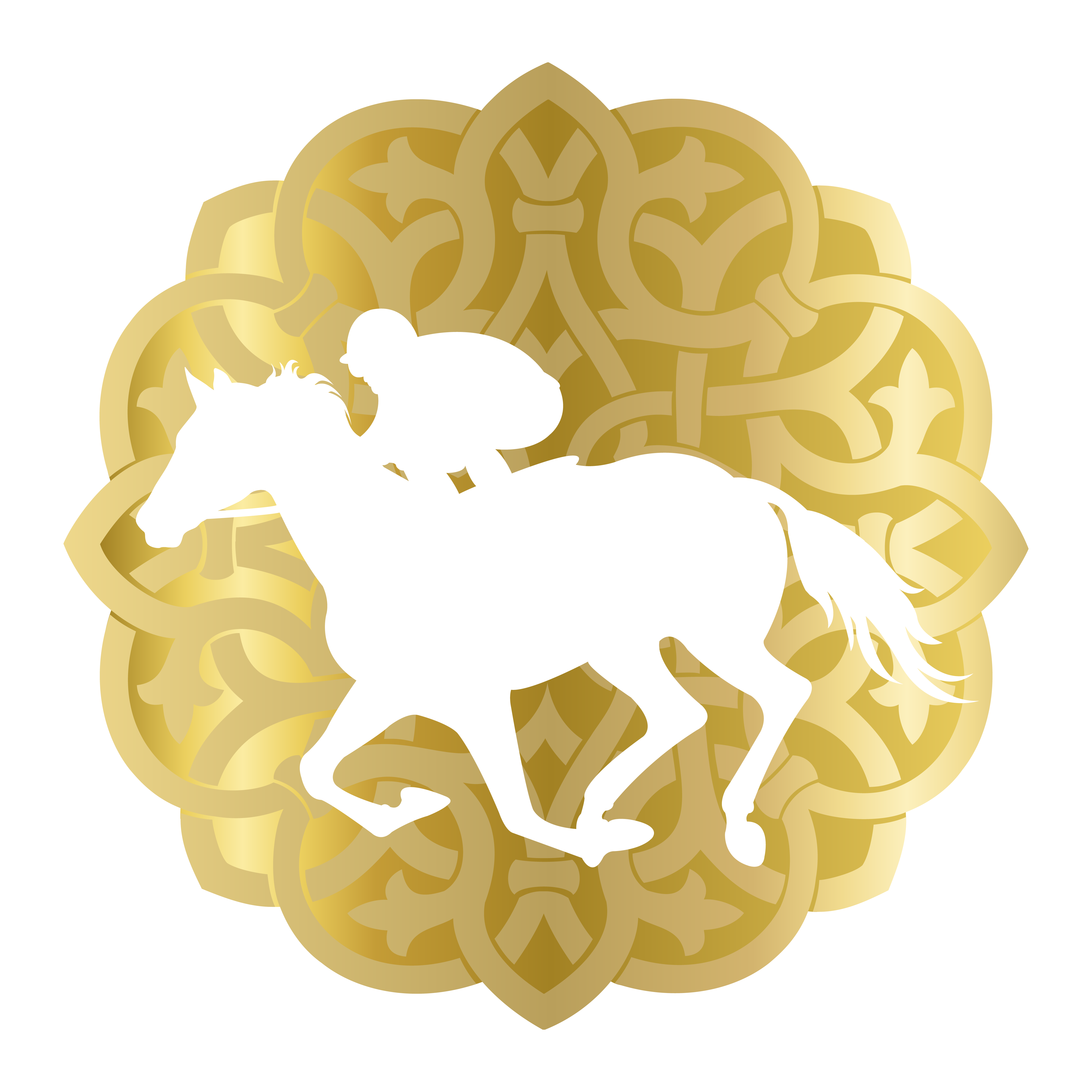 UAE President's Cup client logo